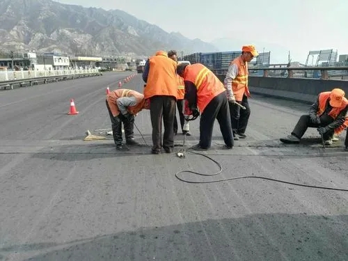 浠水道路桥梁病害治理